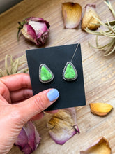 Load image into Gallery viewer, Sterling Silver High Grade Carico Lake Turquoise Stud Earrings – Handmade by Artist Jason Ogg